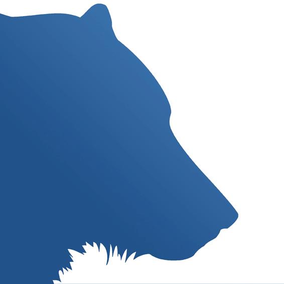 kinetic bear old logo