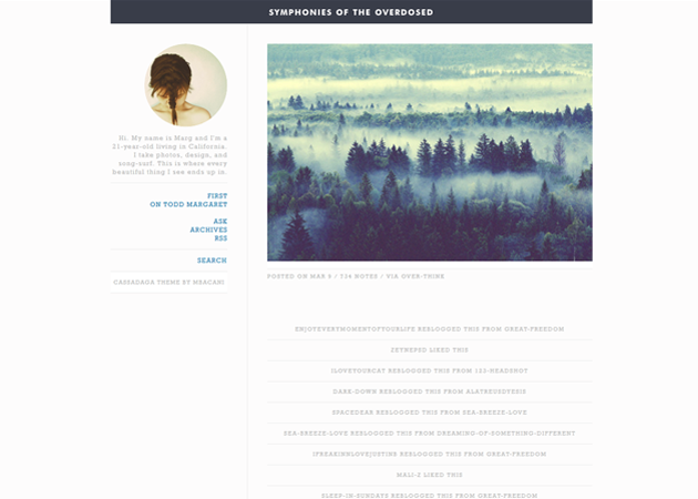 clean and minimal free tumblr theme for photography