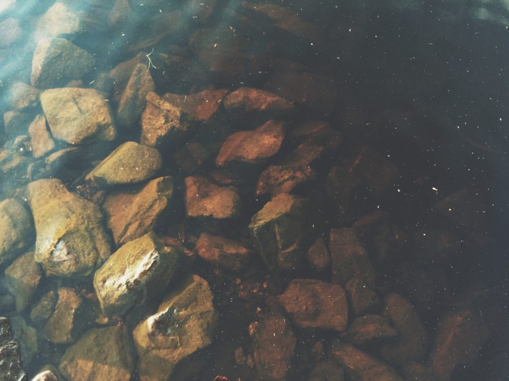 Rocks in the water at Van Riper State Park