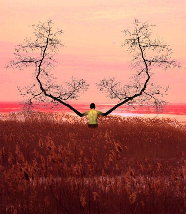A person turning into a tree in photoshop