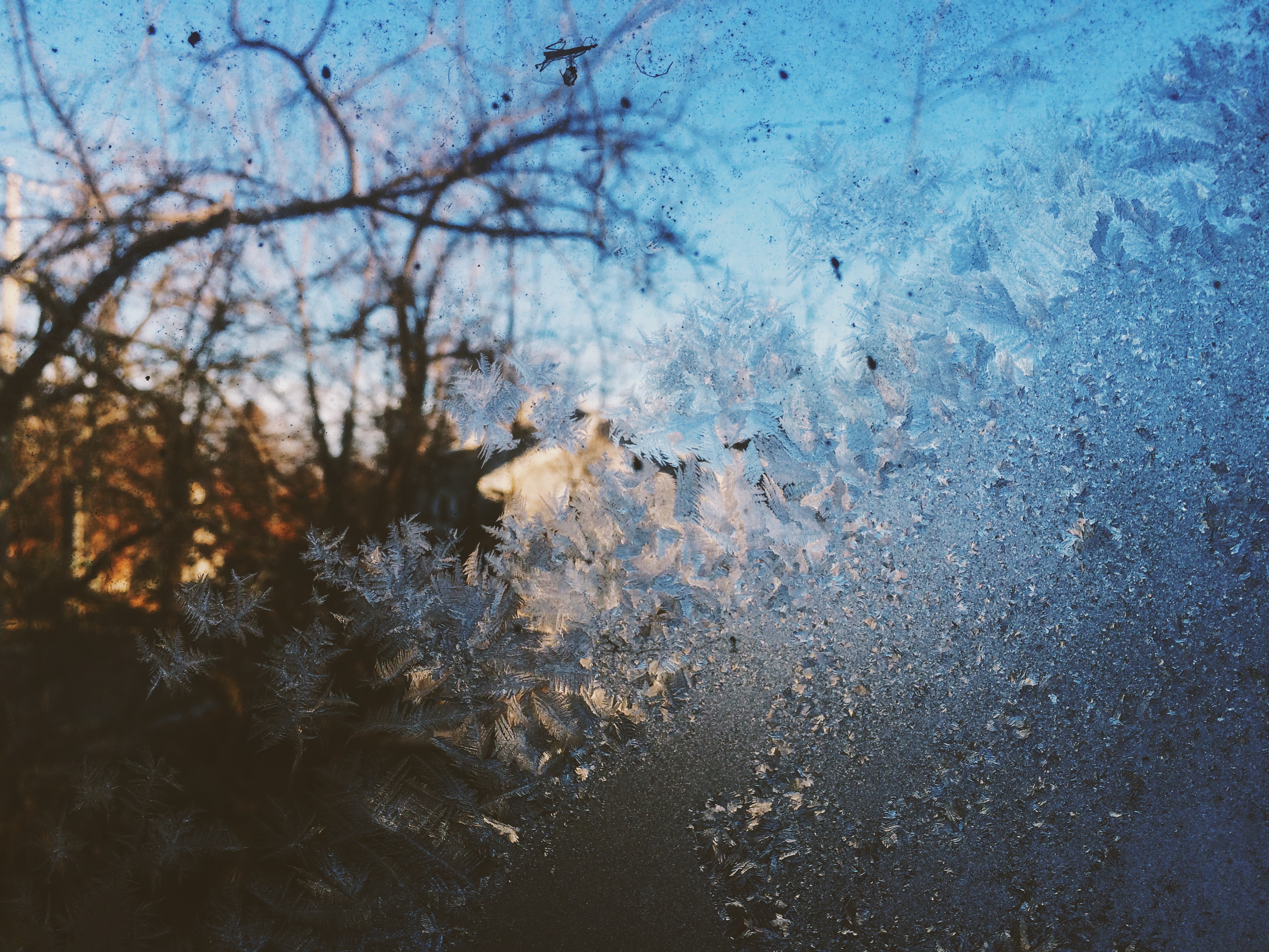 frost inside house window